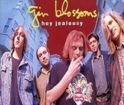 Escucha la canción de Gin Blossoms Hey jealousy gratis de lista de reproducción de Música para correr en línea.