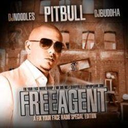 Escucha la canción de Pitbull Time Of Our Lives (Feat. Ne-Yo) gratis de lista de reproducción de Musica para fiestas en línea.