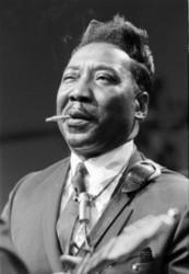 Escucha la canción de Muddy Waters Mannish boy gratis de lista de reproducción de Mejor musica Jazz y Blues en línea.