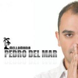 Pedro Del Mar Feel