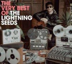The Lightning Seeds You Showed Me (Austin Powers) escucha gratis en línea.