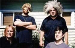 Melvins We Got Worries Here escucha gratis en línea.