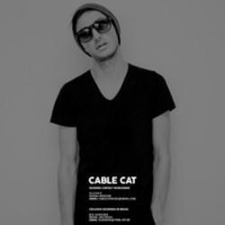 Cable Cat I Wanna Break (Original Mix) escucha gratis en línea.
