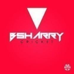 Bsharry I Need You (Extended Mix) escucha gratis en línea.