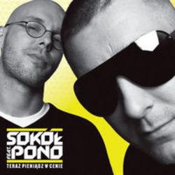 Sokol U Gonna Say One (Original Mix) escucha gratis en línea.