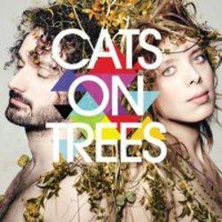 Además de la música de Haimss van Vector, te recomendamos que escuches canciones de Cats On Tree gratis.