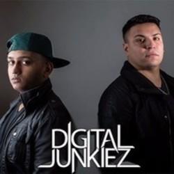 Digital Junkiez Drumfire (Original Mix) escucha gratis en línea.